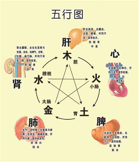 塑料五行属什么|传统文化：五行相生相克，对应五脏，玻璃、塑料五行属于什么？。